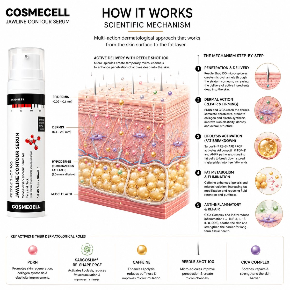 COSMECELL Jawline Contour Serum with PDRN & Reedle Shot 100 | Double Chin Reduction, Skin Tightening & Face Sculpting Serum | 50ml Cosmecell
